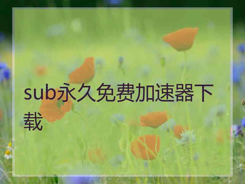 sub永久免费加速器下载