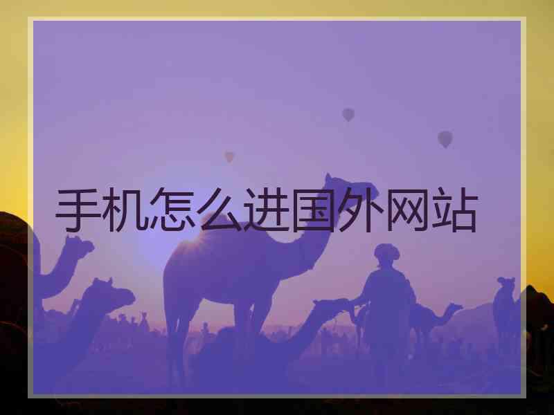 手机怎么进国外网站