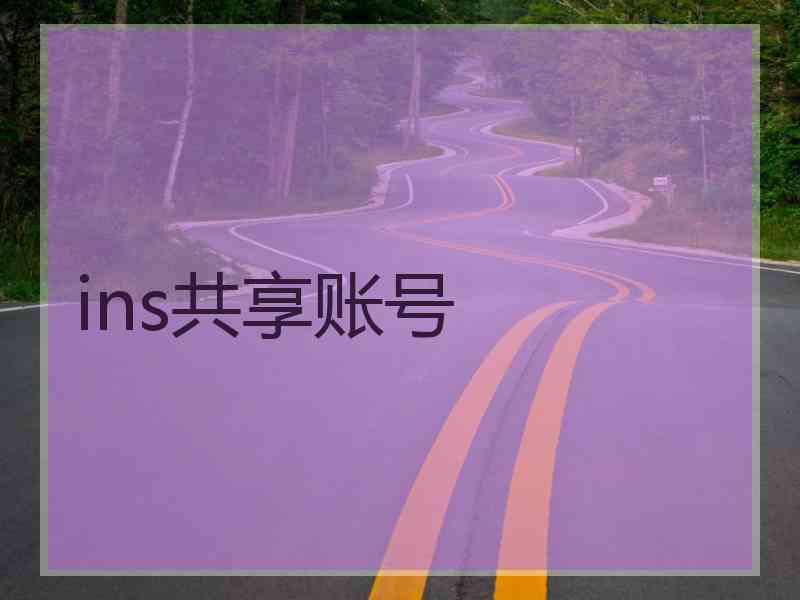 ins共享账号