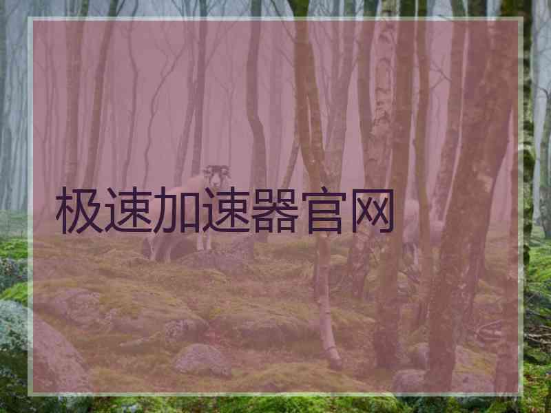 极速加速器官网