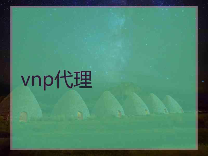 vnp代理