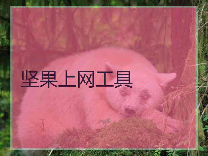 坚果上网工具