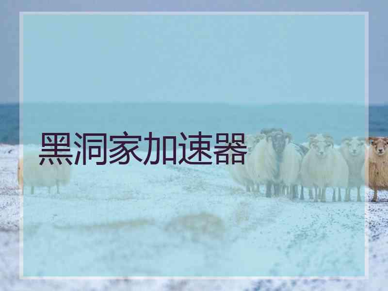 黑洞家加速器