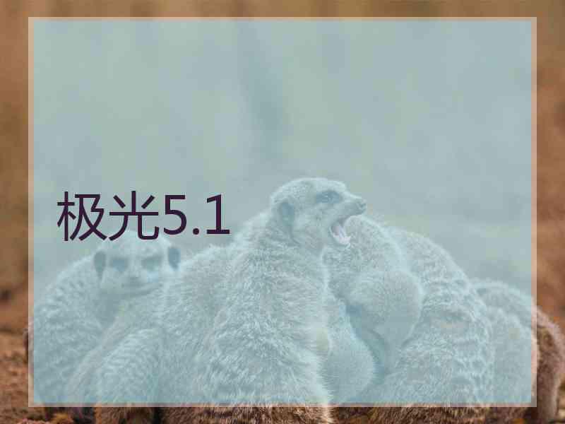 极光5.1