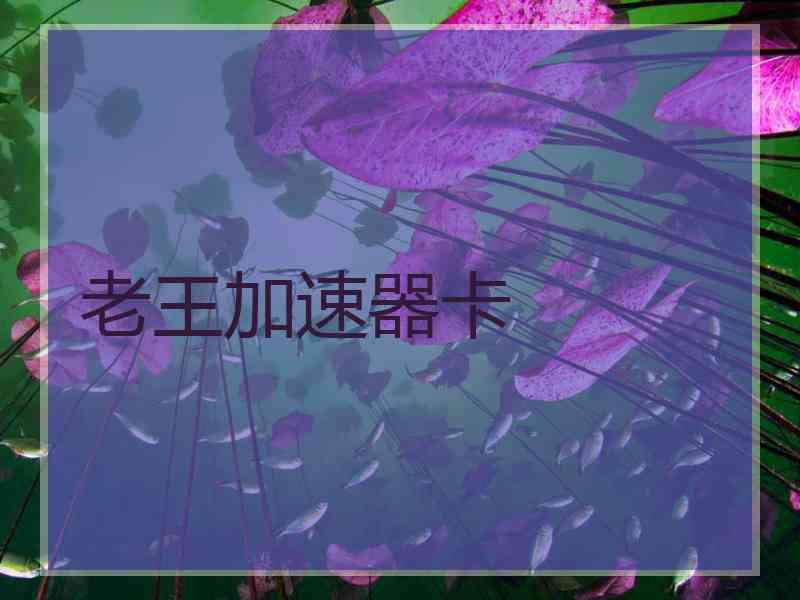 老王加速器卡