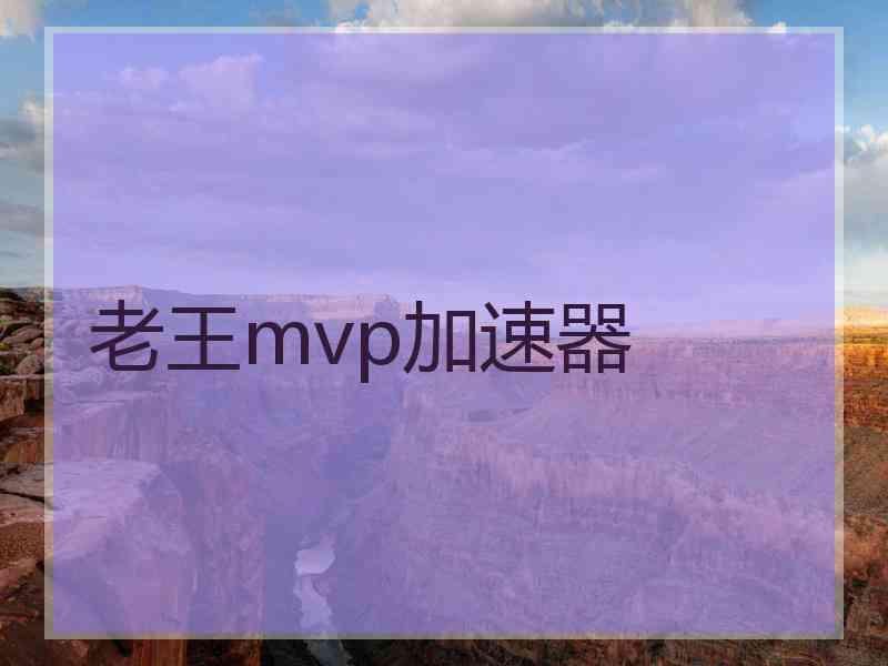 老王mvp加速器