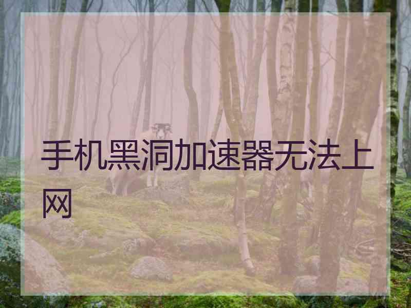 手机黑洞加速器无法上网
