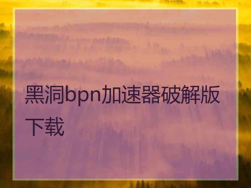 黑洞bpn加速器破解版下载