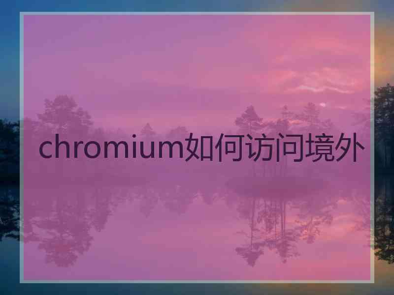 chromium如何访问境外