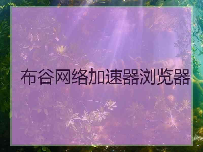 布谷网络加速器浏览器