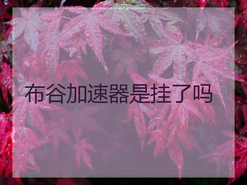 布谷加速器是挂了吗