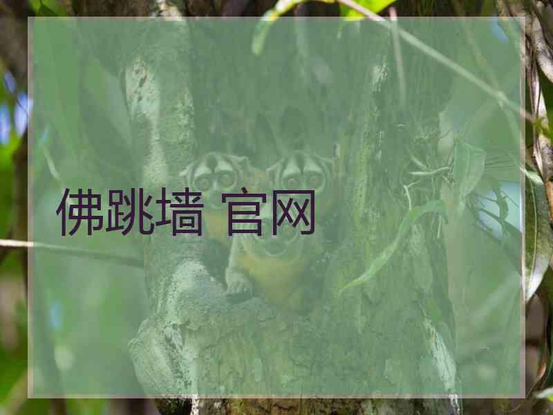 佛跳墙 官网