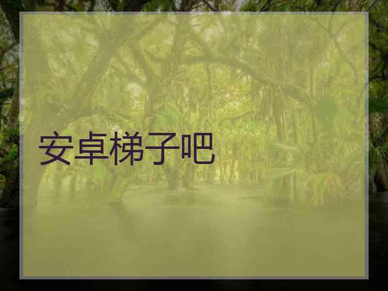 安卓梯子吧