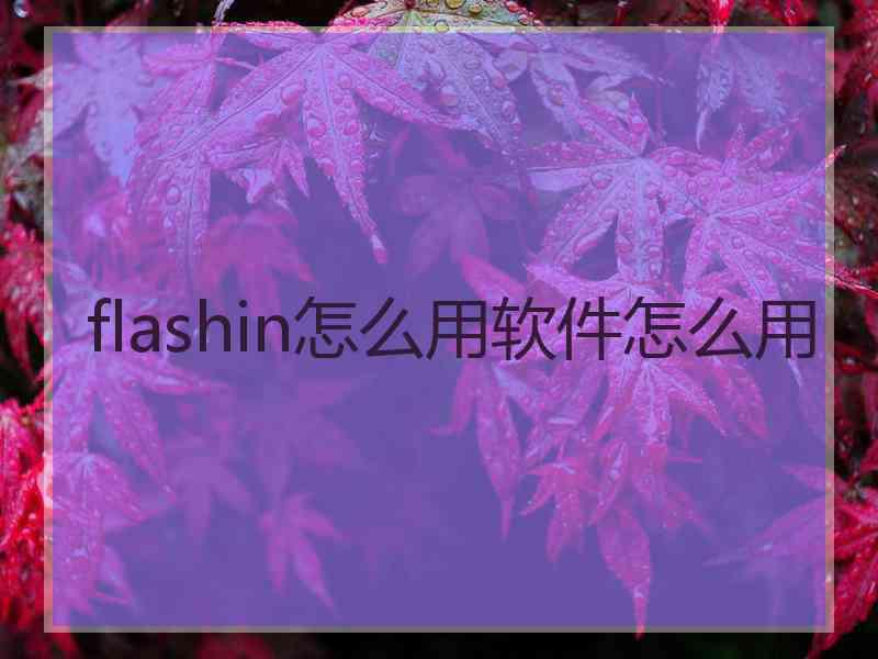 flashin怎么用软件怎么用