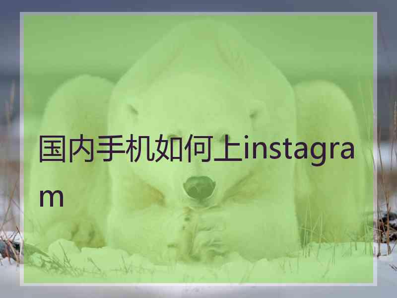 国内手机如何上instagram
