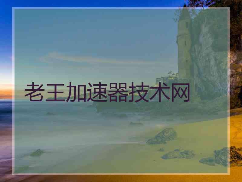 老王加速器技术网