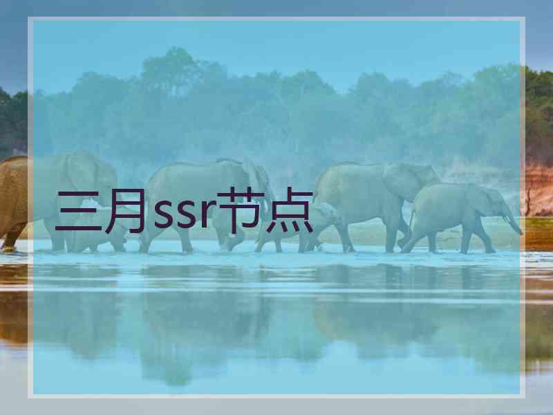 三月ssr节点