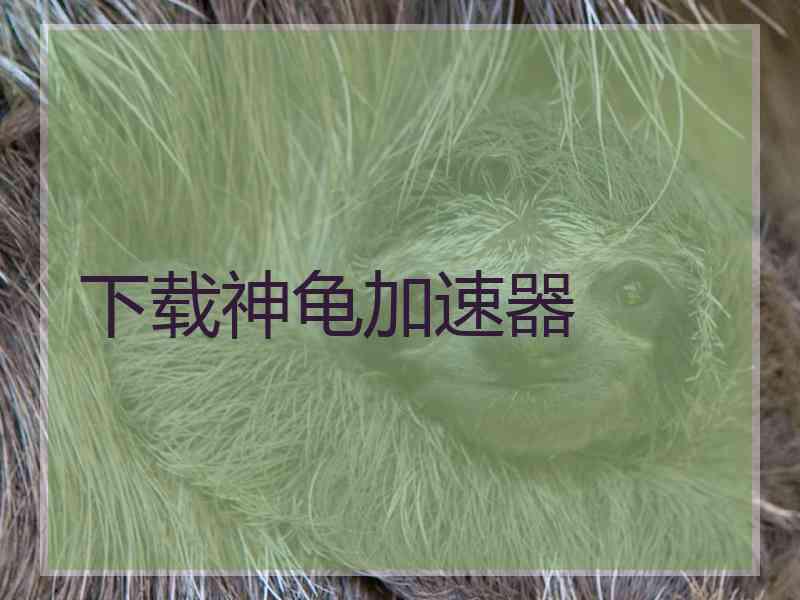 下载神龟加速器