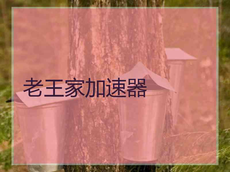 老王家加速器