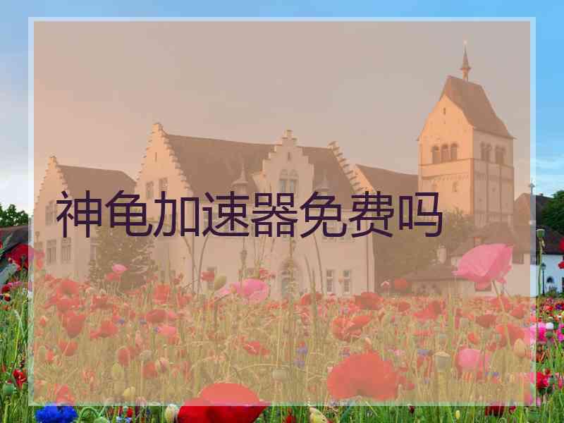 神龟加速器免费吗