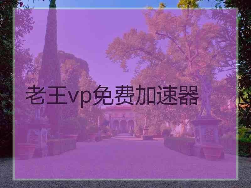 老王vp免费加速器