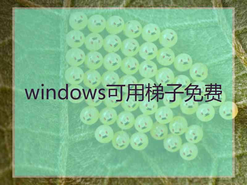 windows可用梯子免费