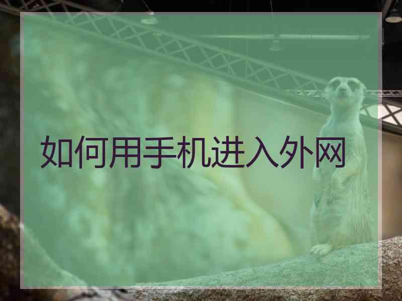 如何用手机进入外网