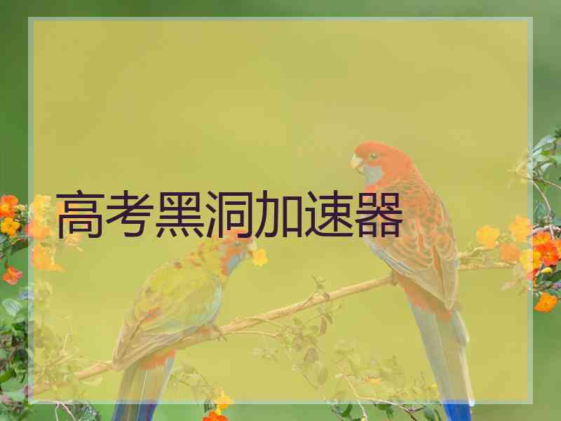 高考黑洞加速器