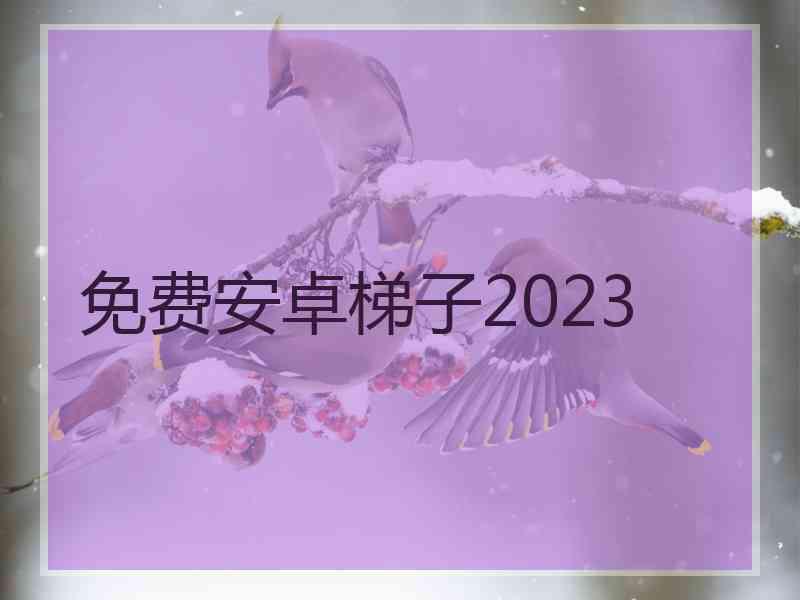 免费安卓梯子2023