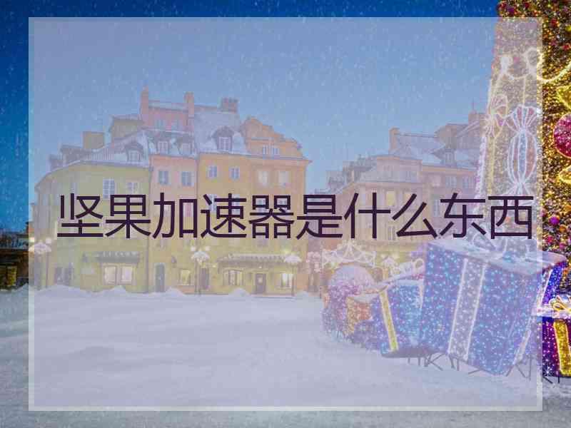 坚果加速器是什么东西
