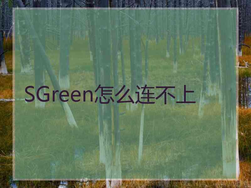 SGreen怎么连不上