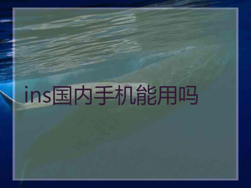 ins国内手机能用吗