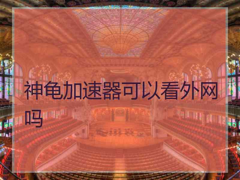 神龟加速器可以看外网吗