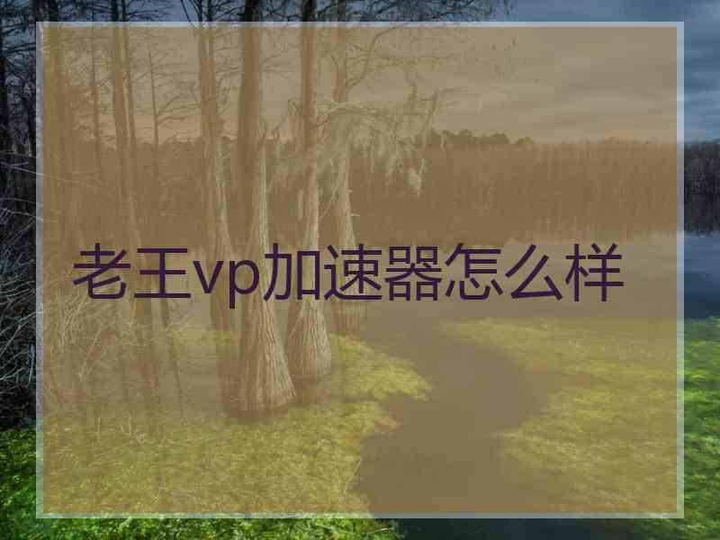老王vp加速器怎么样