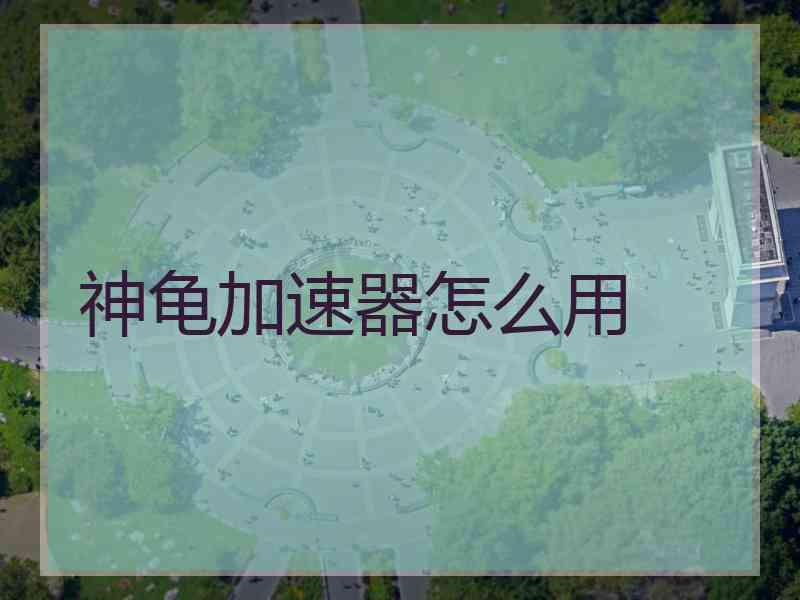 神龟加速器怎么用