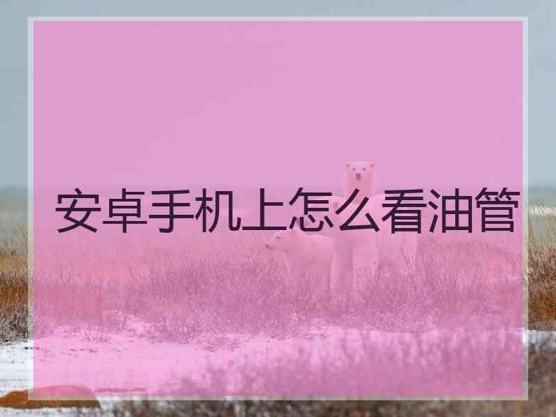 安卓手机上怎么看油管
