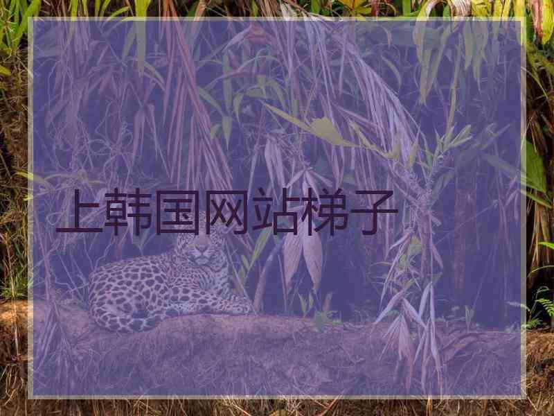 上韩国网站梯子