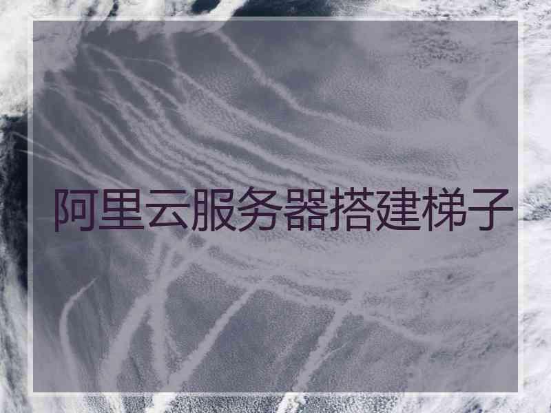 阿里云服务器搭建梯子
