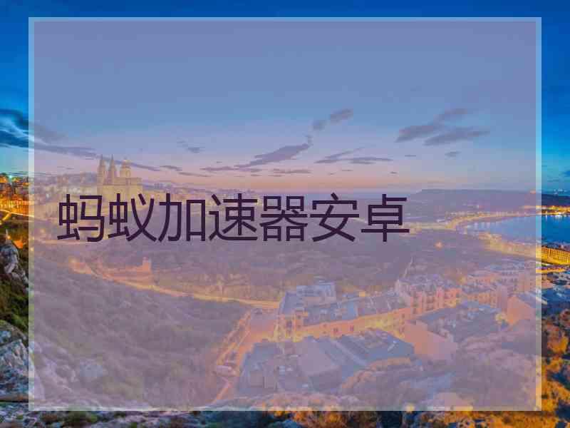 蚂蚁加速器安卓