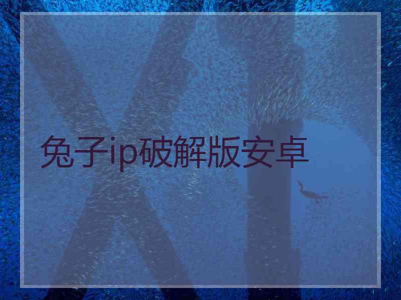 兔子ip破解版安卓