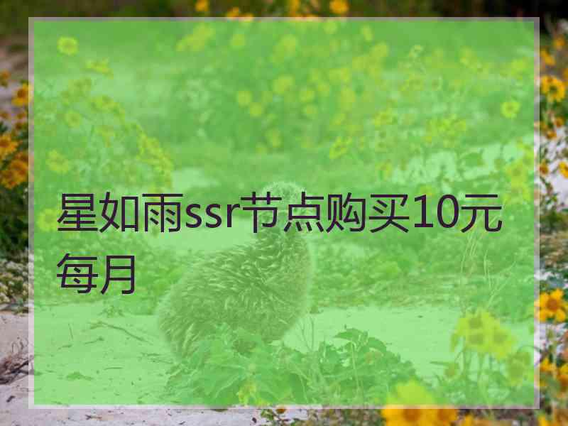 星如雨ssr节点购买10元每月