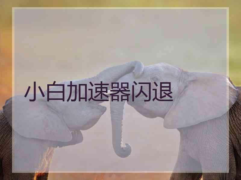 小白加速器闪退