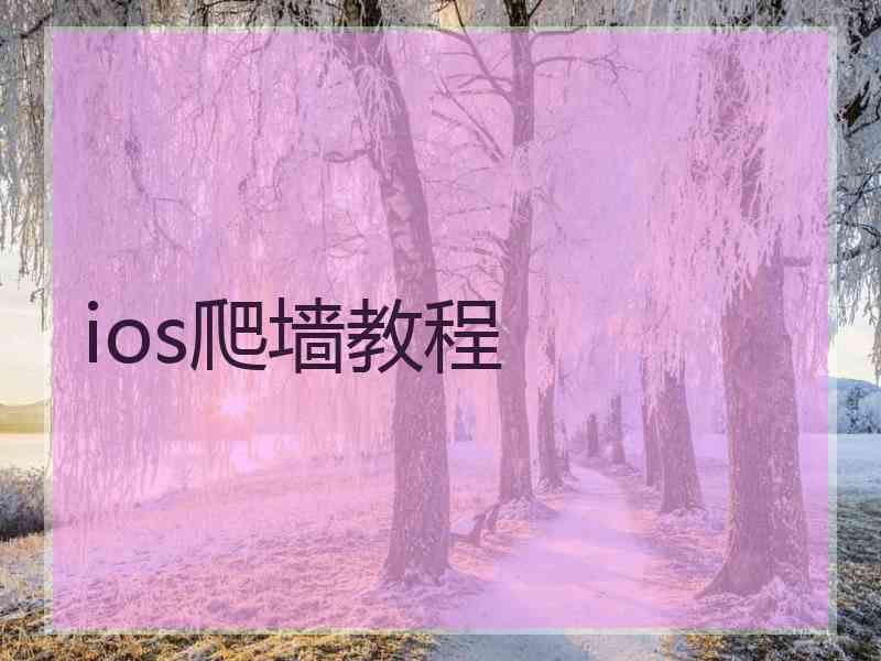 ios爬墙教程