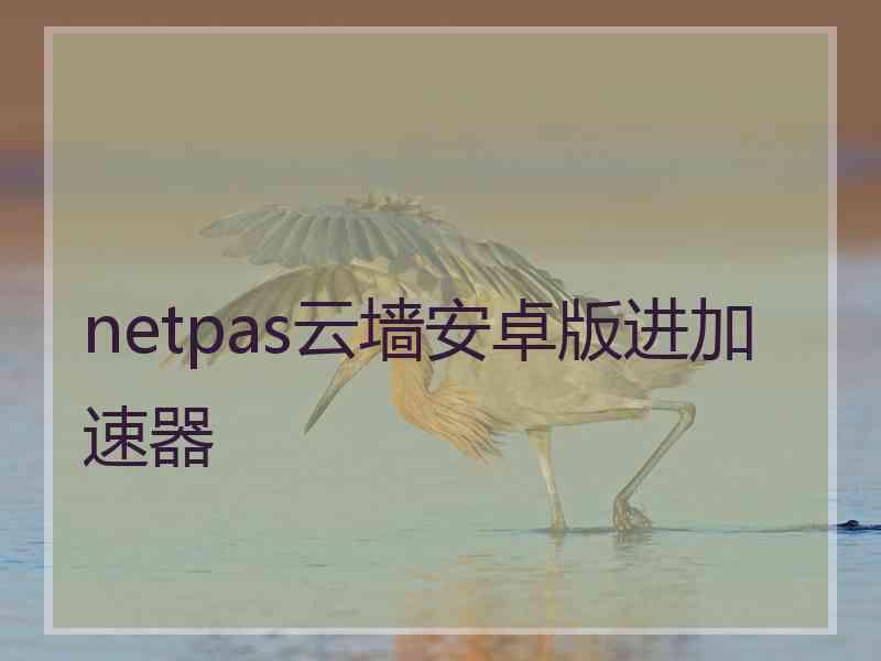 netpas云墙安卓版进加速器