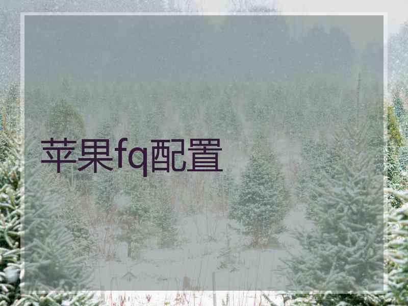 苹果fq配置