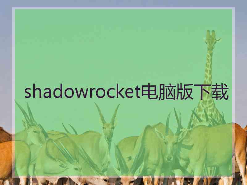 shadowrocket电脑版下载