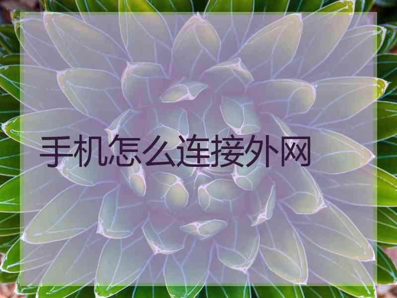 手机怎么连接外网