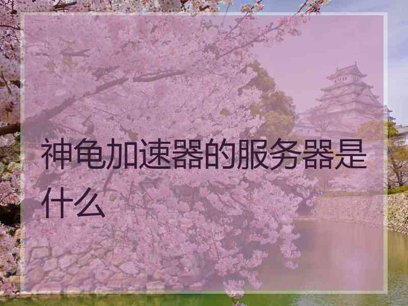 神龟加速器的服务器是什么