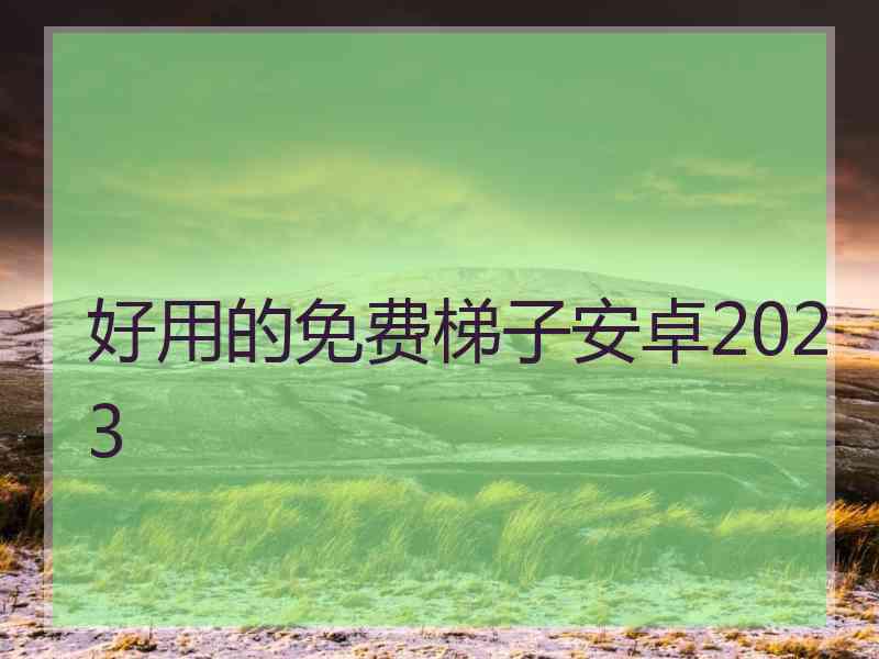 好用的免费梯子安卓2023