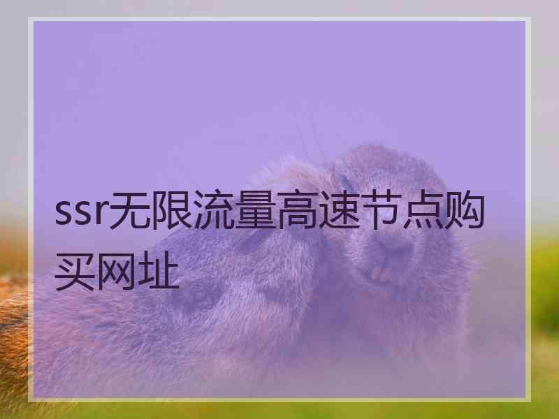 ssr无限流量高速节点购买网址